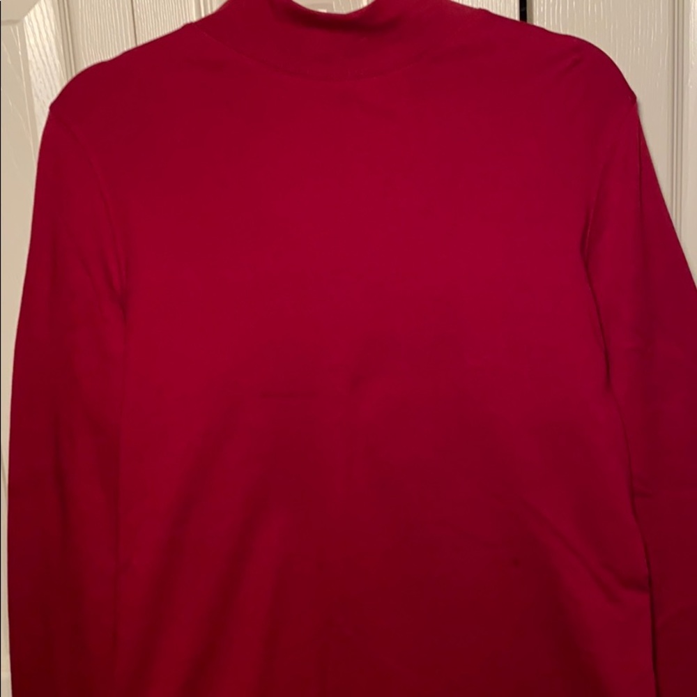 Karen Scott turtle neck